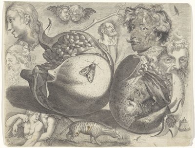 Hoja de estudio con ejemplos de dibujo: cabezas, figuras, frutas, animales
Ejemplos de dibujos (título de la serie) de Michael Snijders