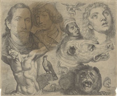 Hoja de estudio con ejemplos de dibujo: cabezas, torso y animales
Ejemplos de dibujos (título de la serie) de Michael Snijders