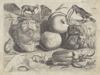 Hoja de estudio con ejemplos de dibujo: retratos, animales, insectos
Ejemplos de dibujos (título de la serie) de Michael Snijders