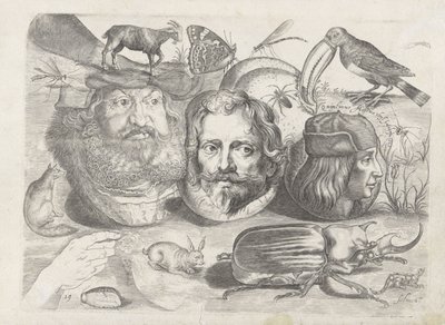 Hoja de ejercicios con ejemplos de dibujo: retratos, animales, insectos de Michael Snijders