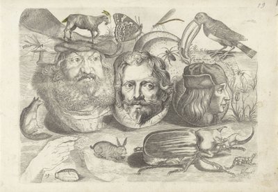 Hoja de ejercicios con ejemplos de dibujo: retratos, animales, insectos de Michael Snijders