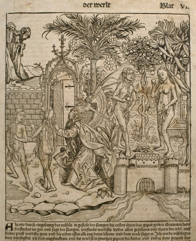 Adán y Eva, ilustración del 