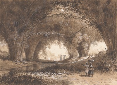 Arcos de bambú, St. Anns de Michel Jean Cazabon