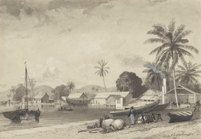 Ciudad de Corbeaux, Puerto España de Michel Jean Cazabon