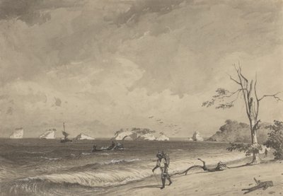 Los Gallos, Icacos Bay de Michel Jean Cazabon
