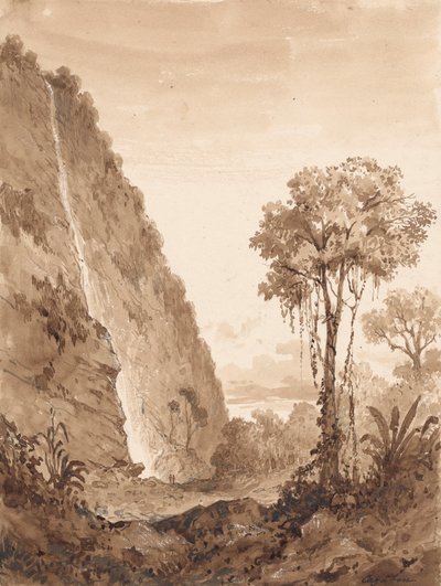 Cascada de Maraccas de Michel Jean Cazabon