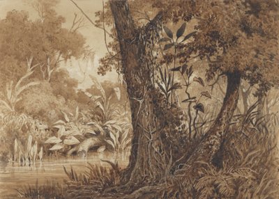 En el río Cimaronero de Michel Jean Cazabon