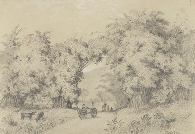 Camino de Santa Ana de Michel Jean Cazabon