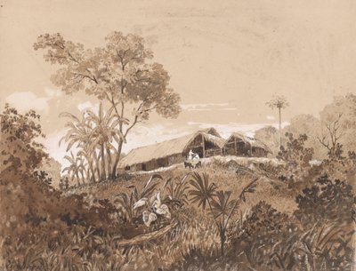 La cabaña, Monte Tamana de Michel Jean Cazabon