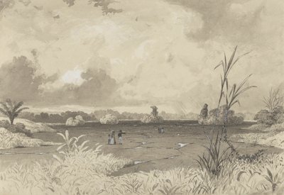 El lago de Pitch de Michel Jean Cazabon