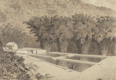El embalse de Maraval de Michel Jean Cazabon