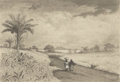 El camino hacia el lago Pitch de Michel Jean Cazabon