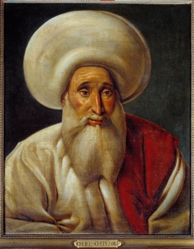 Retrato del jeque Cherkaoui. Pintura de Michele Rigo (1770-1815) de Michel Rigo