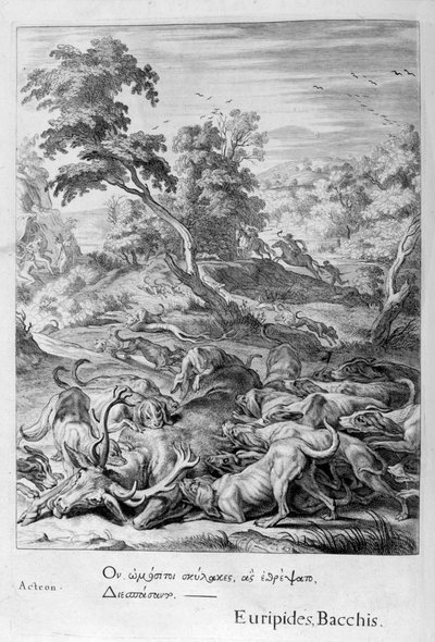 Acteón convertido en ciervo y devorado por sus perros, 1655 de Michel de Marolles