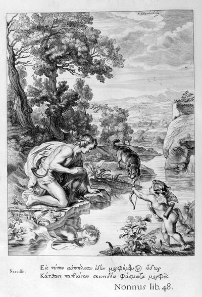 Narciso enamorado de su propio reflejo, 1655 de Michel de Marolles