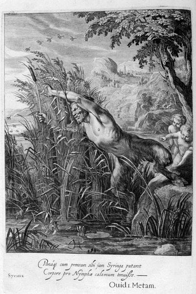 Pan persigue a Siringa que se transforma en una caña, 1665 de Michel de Marolles
