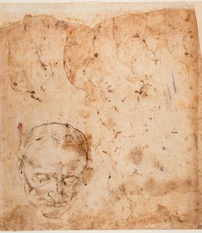 Estudios gráficos de Michelangelo (after) Buonarroti