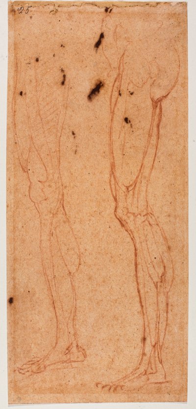 Estudio de la pierna de Michelangelo (after) Buonarroti