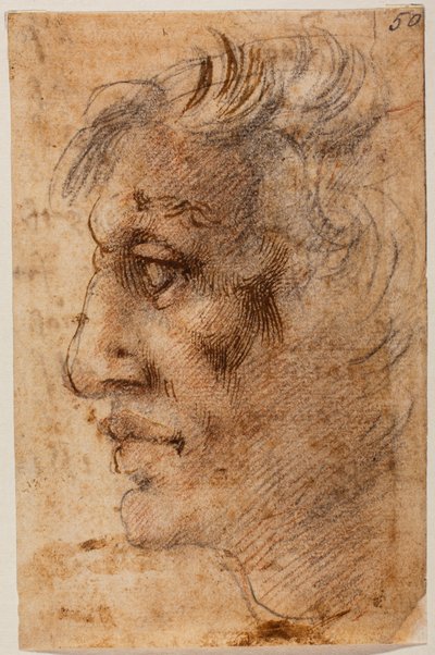 Cabeza masculina de perfil de Michelangelo (after) Buonarroti