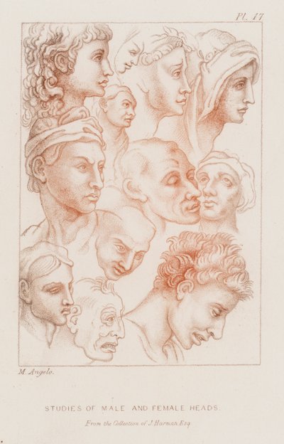 Estudios de cabezas masculinas y femeninas (aguafuerte) de Michelangelo (after) Buonarroti