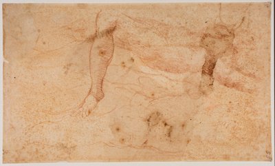 Estudios de desnudos de Michelangelo (after) Buonarroti