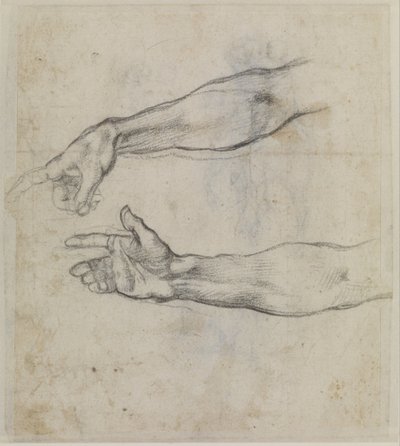 Estudios de un brazo extendido para el fresco "La embriaguez de Noé" de la Capilla Sixtina de Michelangelo