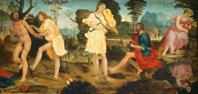 Apolo y Marsias, c. 1540 de Michelangelo Anselmi