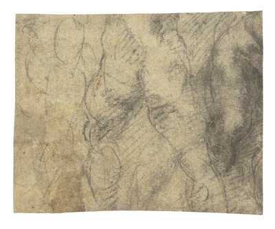 Desnudo masculino visto desde atrás de Michelangelo Buonarroti