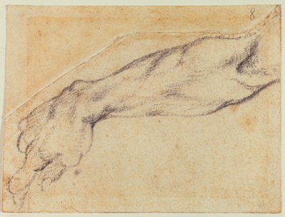 Estudio de brazo para una figura de la Sixtina de Michelangelo Buonarroti