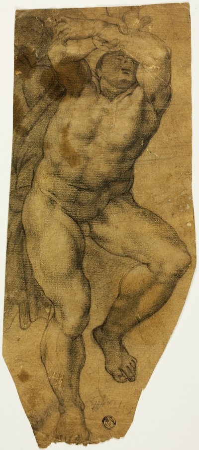 Desnudo masculino ascendente de Michelangelo Buonarroti