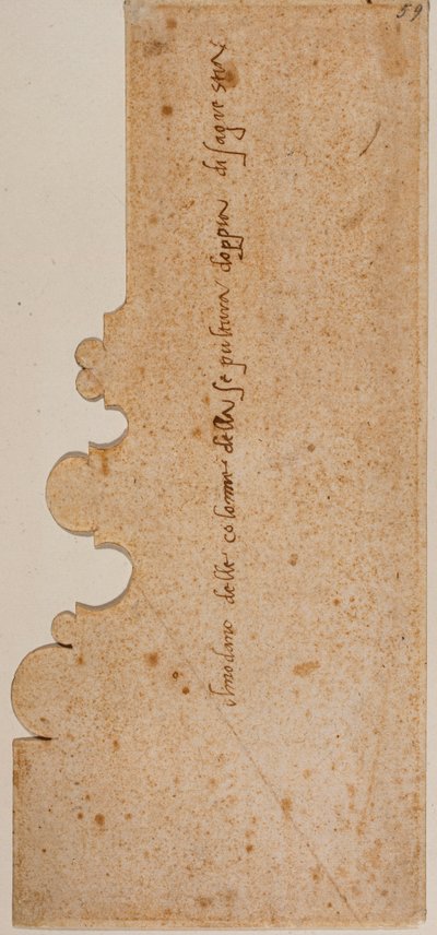 Perfil de la base de la columna de la nueva sacristía de Michelangelo Buonarroti