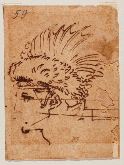 Cabeza crestada de Michelangelo Buonarroti