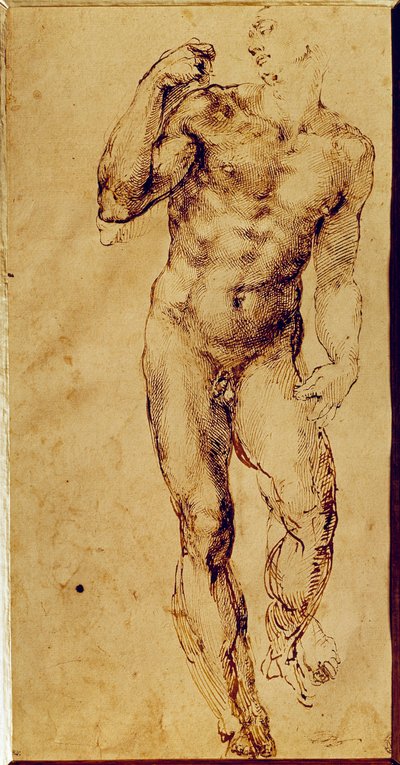 Estudio de hombre desnudo de pie de Michelangelo Buonarroti