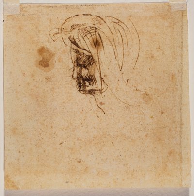 Cabeza de mujer de Michelangelo Buonarroti