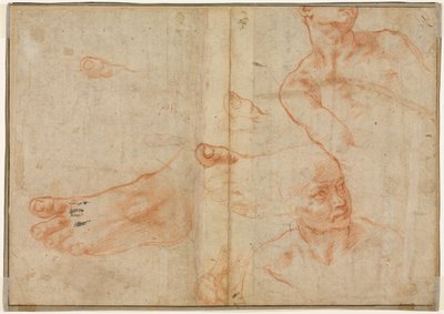 Estudios de figuras para el techo de la Capilla Sixtina (verso) de Michelangelo Buonarroti