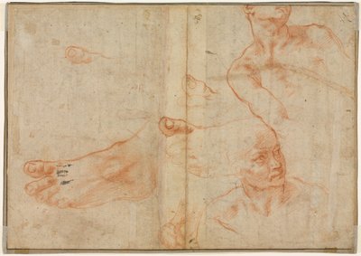 Estudios de figuras para el techo de la Capilla Sixtina, 1510-11 de Michelangelo Buonarroti