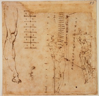 Estudios gráficos de Michelangelo Buonarroti