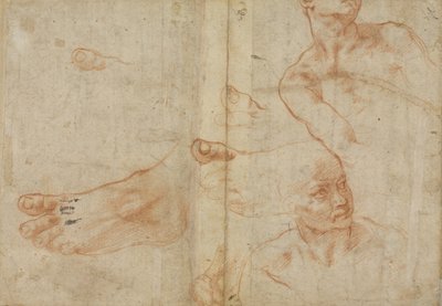Estudios de figuras para el techo de la Capilla Sixtina de Michelangelo Buonarroti