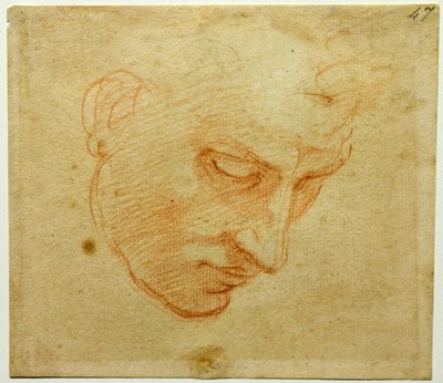 Estudio de cabeza para el techo de la Capilla Sixtina, ca 1509-1510 de Michelangelo Buonarroti