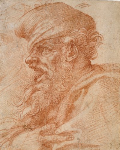 Cabeza de un hombre barbudo gritando, siglo XVI de Michelangelo Buonarroti