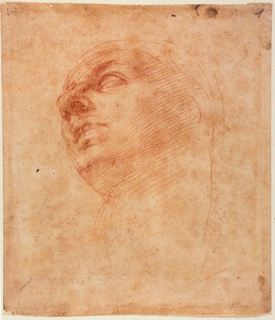Estudio de la cabeza para la Sixtina Jonás de Michelangelo Buonarroti