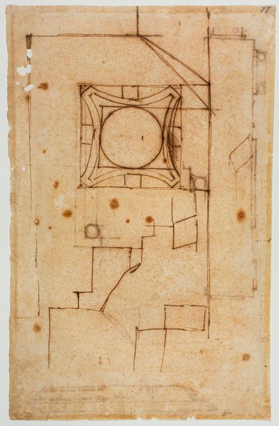 Sección horizontal del capital de Michelangelo Buonarroti