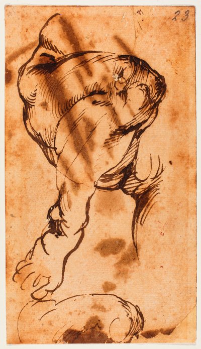 Estudio de piernas para el niño en el Doni Tondo de Michelangelo Buonarroti