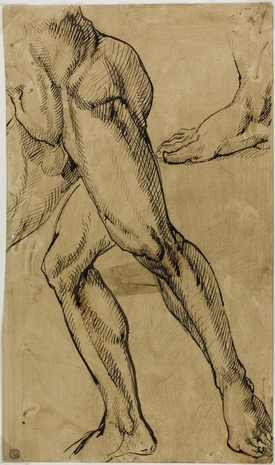 Piernas y pies de desnudo masculino de Michelangelo Buonarroti