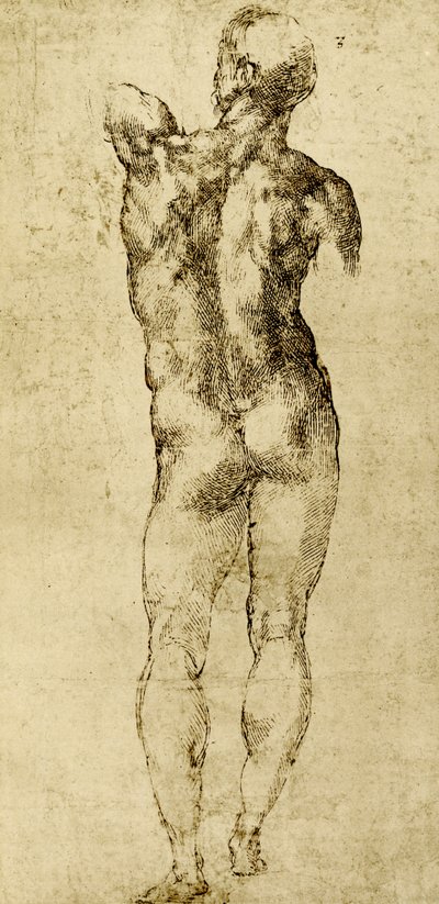 Desnudo masculino de Michelangelo Buonarroti