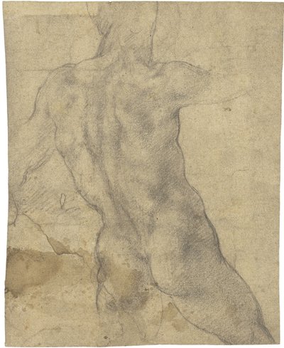Desnudo masculino de Michelangelo Buonarroti