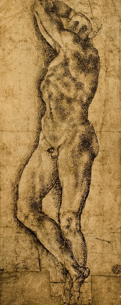 Desnudo masculino; dibujo de Miguel Ángel. El Louvre, París de Michelangelo Buonarroti