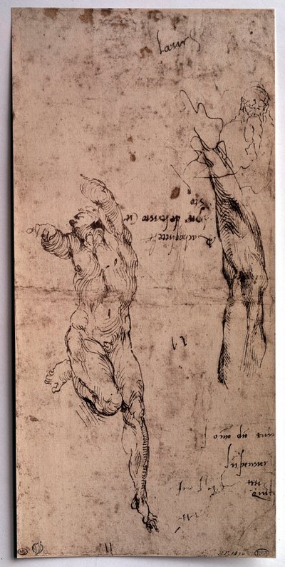 Hombre desnudo, estudio de brazo. Dibujo de Miguel Ángel Buonarroti de Michelangelo Buonarroti