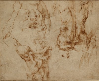 Estudios de desnudos, c1490-1560 de Michelangelo Buonarroti