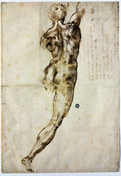 Desnudo de espaldas, c. 1504 de Michelangelo Buonarroti